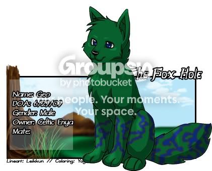 User Image